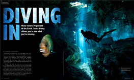 Water Covers 70 Percent of the Earth. Scuba Diving Allows You to See What You’Re Missing