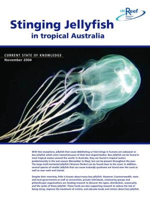 Stinging Jellyfish in Tropical Australia