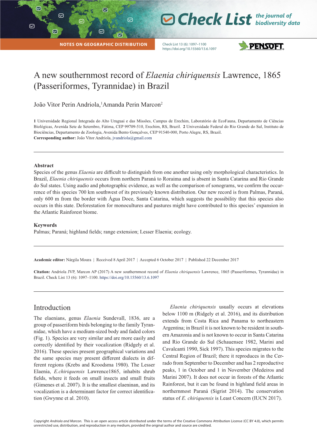 Elaenia Chiriquensis Lawrence, 1865 (Passeriformes, Tyrannidae) in Brazil