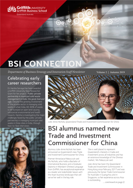 Bsi Connection