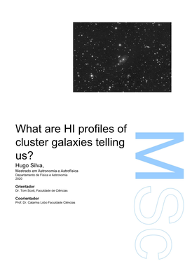 What Are HI Profiles of Cluster Galaxies Telling Us? Hugo Silva, Mestrado Em Astronomia E Astrofísica Departamento De Física E Astronomia 2020