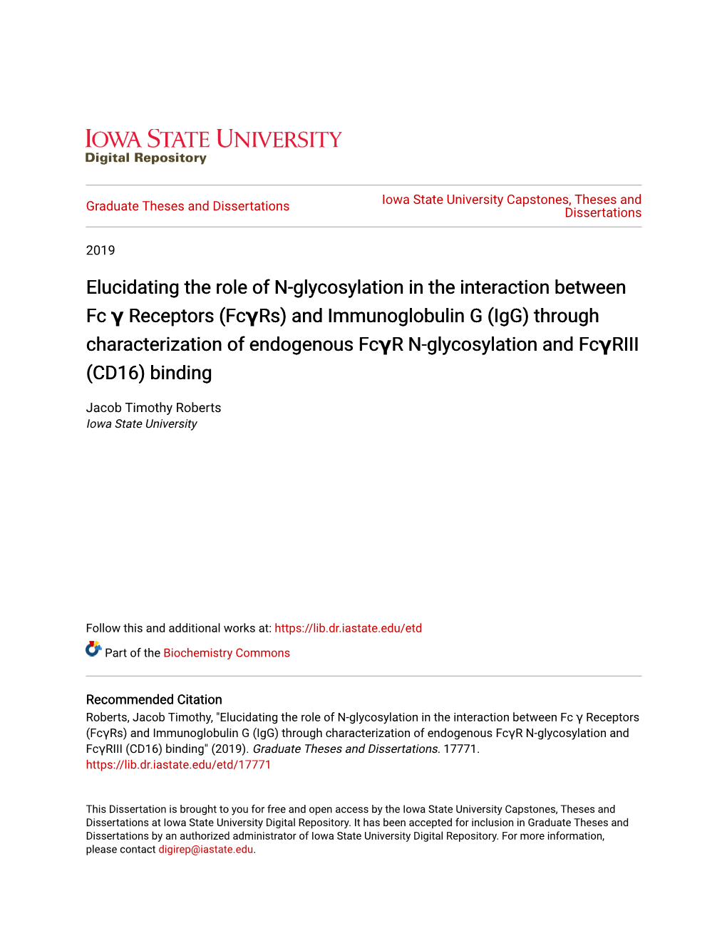 Elucidating the Role of N-Glycosylation in the Interaction Between Fc Γ