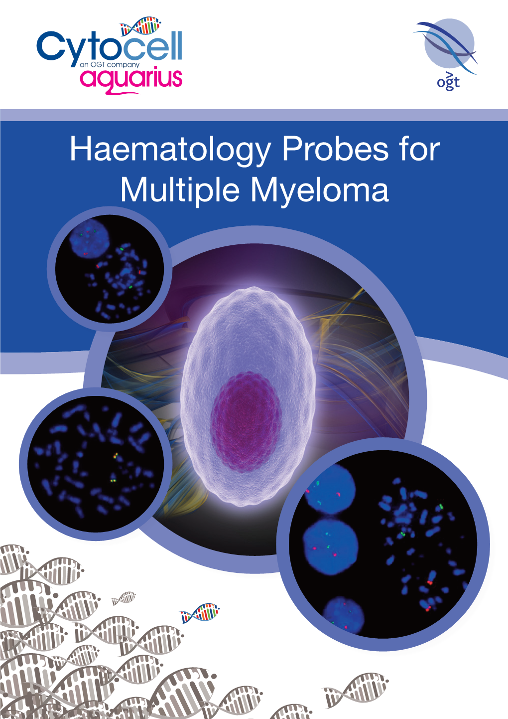 Haematology Probes for Multiple Myeloma MULTIPLE MYELOMA
