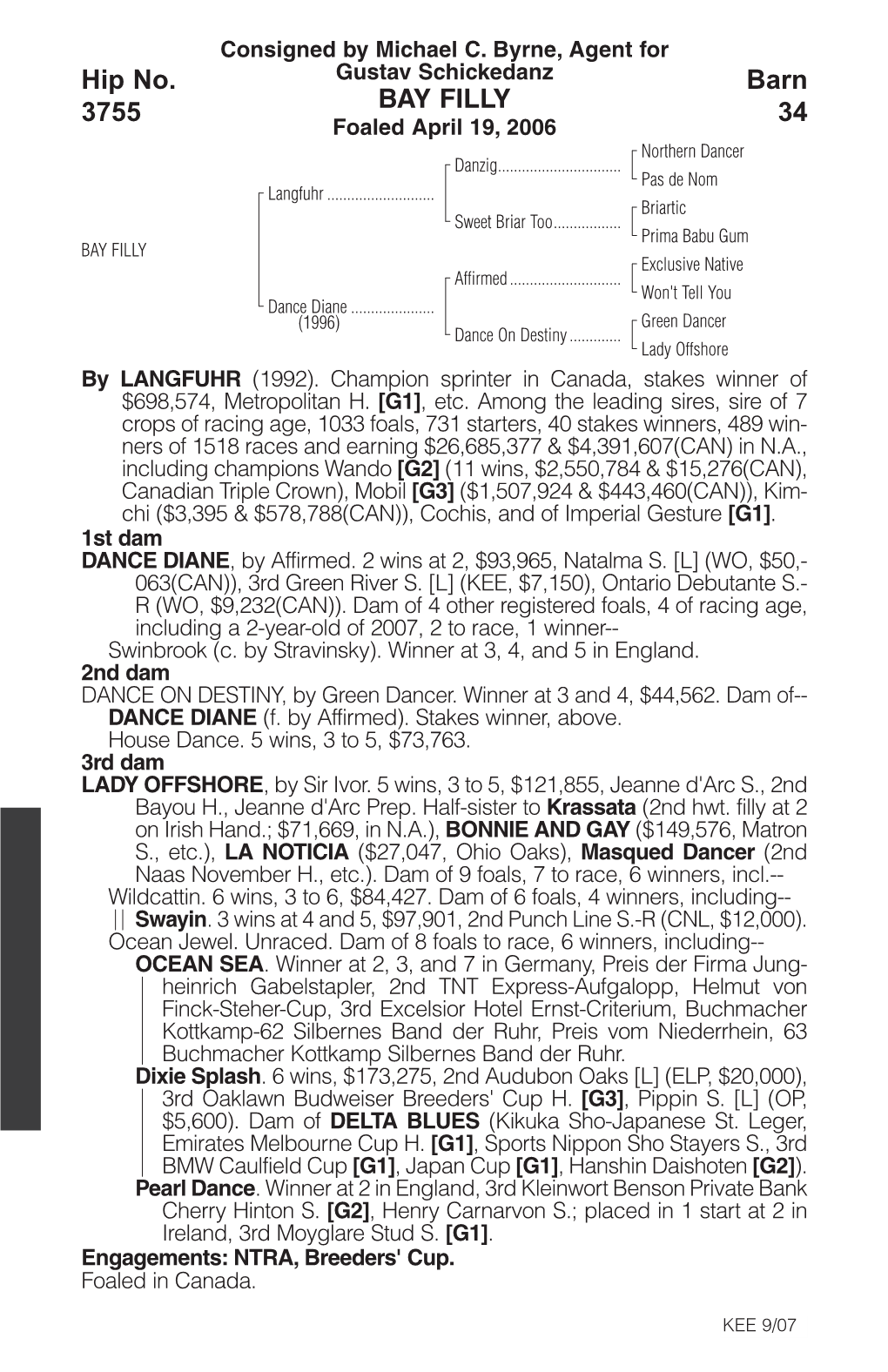 BAY FILLY Barn 34 Hip No. 3755