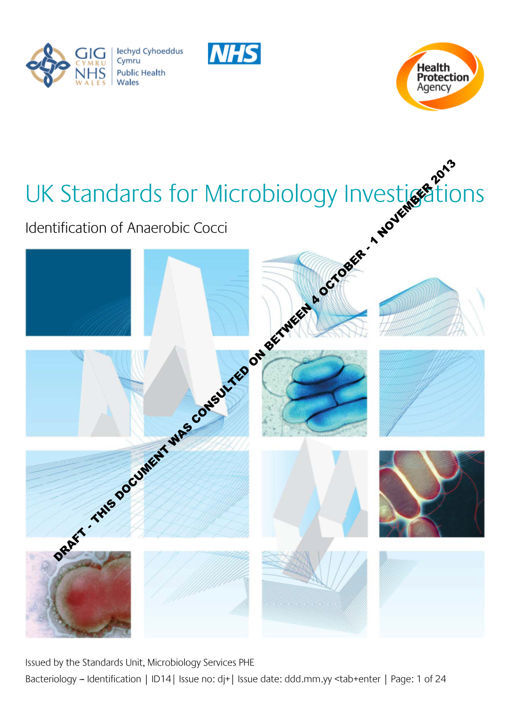 ID 14Dj Identifiction of Anaerobic Cocci