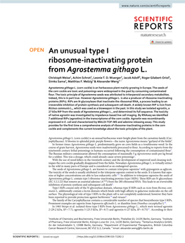 An Unusual Type I Ribosome-Inactivating Protein From