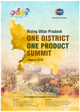 Rising Uttar Pradesh-One District One Product Summit