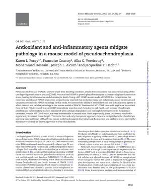 Antioxidant and Anti-Inflammatory Agents Mitigate Pathology in A