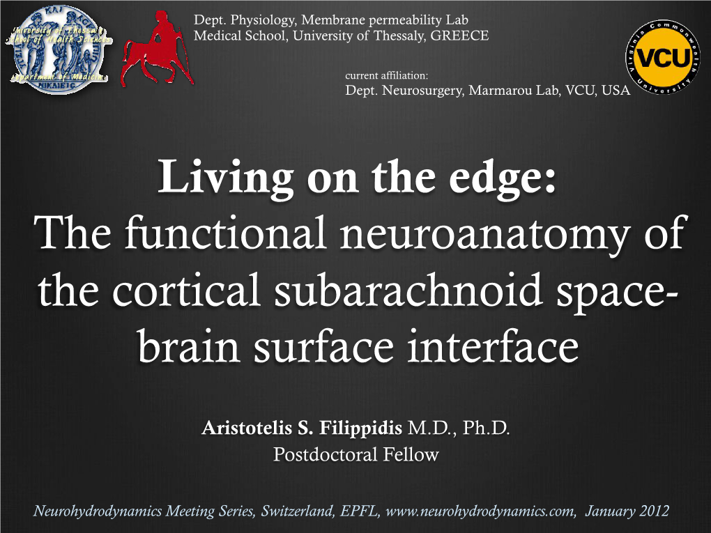 The Functional Neuroanatomy of the Cortical Subarachnoid Space- Brain Surface Interface
