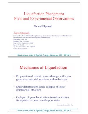 Mechanics of Liquefaction