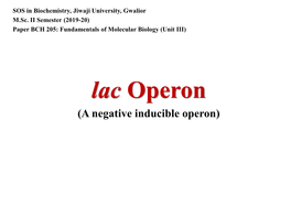 Lac Operon.Pdf