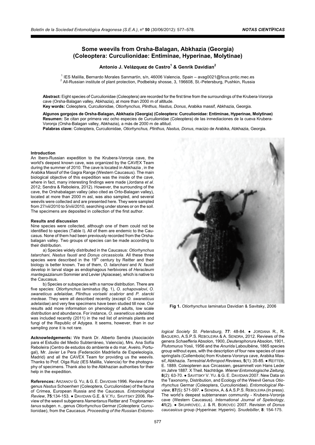 Some Weevils from Orsha-Balagan, Abkhazia (Georgia) (Coleoptera: Curculionidae: Entiminae, Hyperinae, Molytinae)