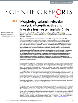 Morphological and Molecular Analysis of Cryptic Native and Invasive Freshwater Snails in Chile Received: 20 August 2018 Gonzalo A