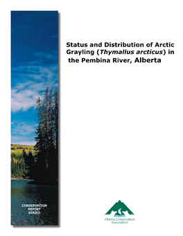 Arctic Grayling (Thymallus Arcticus) in the Pembina River, Alberta