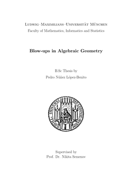 Blow-Ups in Algebraic Geometry