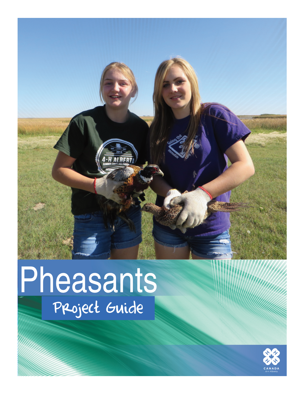 Pheasants Project Guide 4-H Motto Learn to Do by Doing