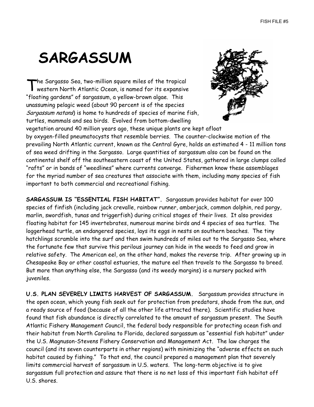 NCMC Fish Files: Sargassum