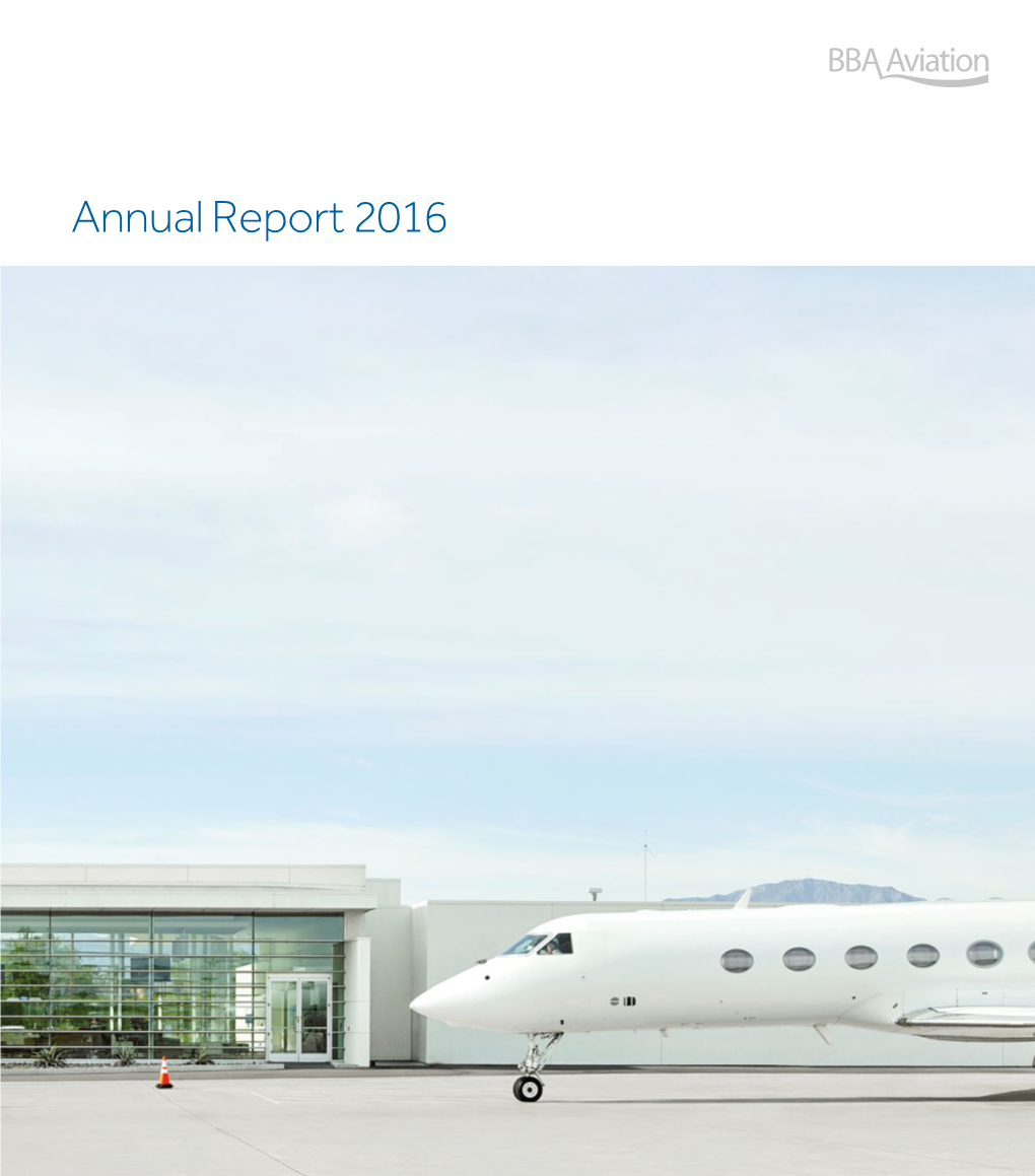 Annual Report 2016 Strategic Report What We Do