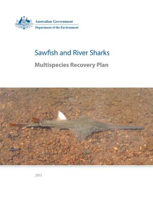 Sawfish and River Sharks Multispecies Recovery Plan