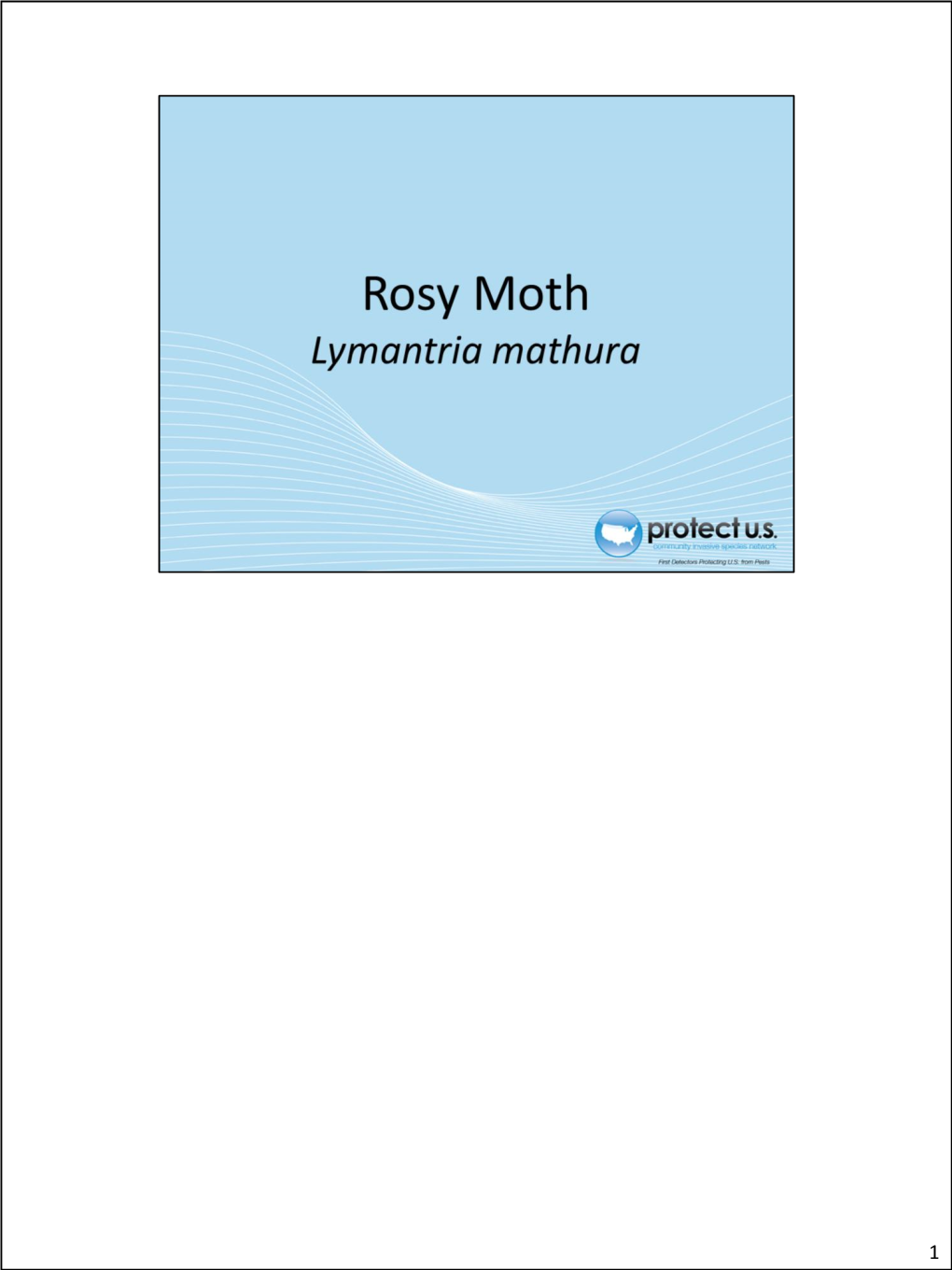 Rosymoth.Pdf