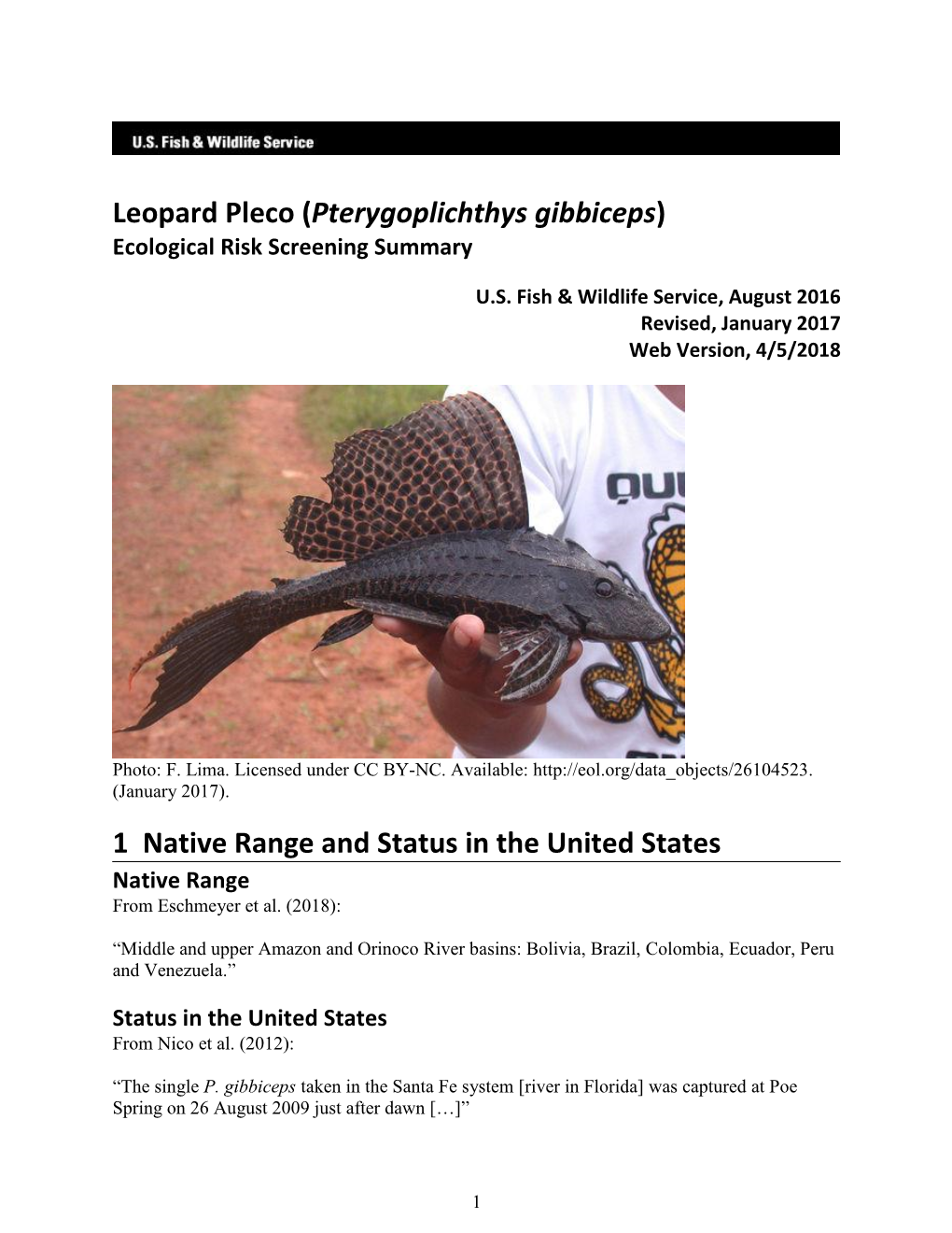 Leopard Pleco (Pterygoplichthys Gibbiceps) Ecological Risk Screening Summary