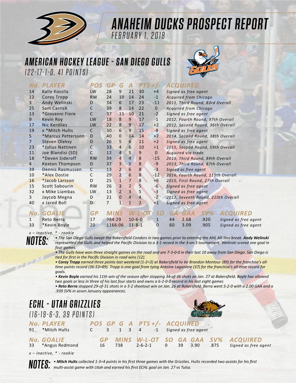 Anaheim Ducks Prospect Report February 1, 2018