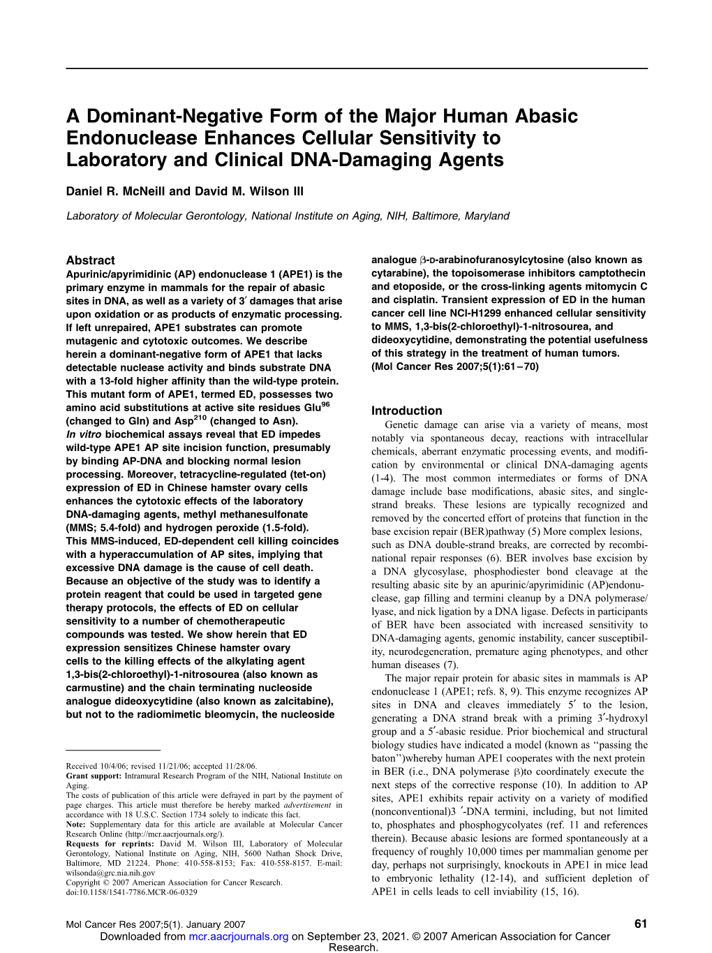 A Dominant-Negative Form of the Major Human Abasic Endonuclease Enhances Cellular Sensitivity to Laboratory and Clinical DNA-Damaging Agents