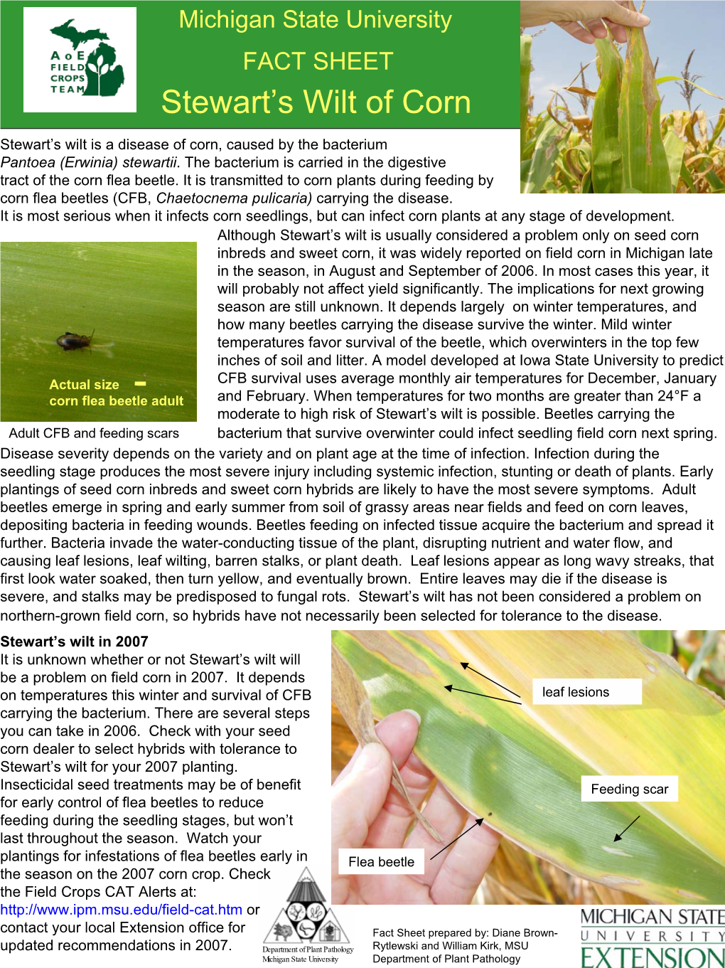 Michigan State University FACT SHEET Stewart’S Wilt of Corn