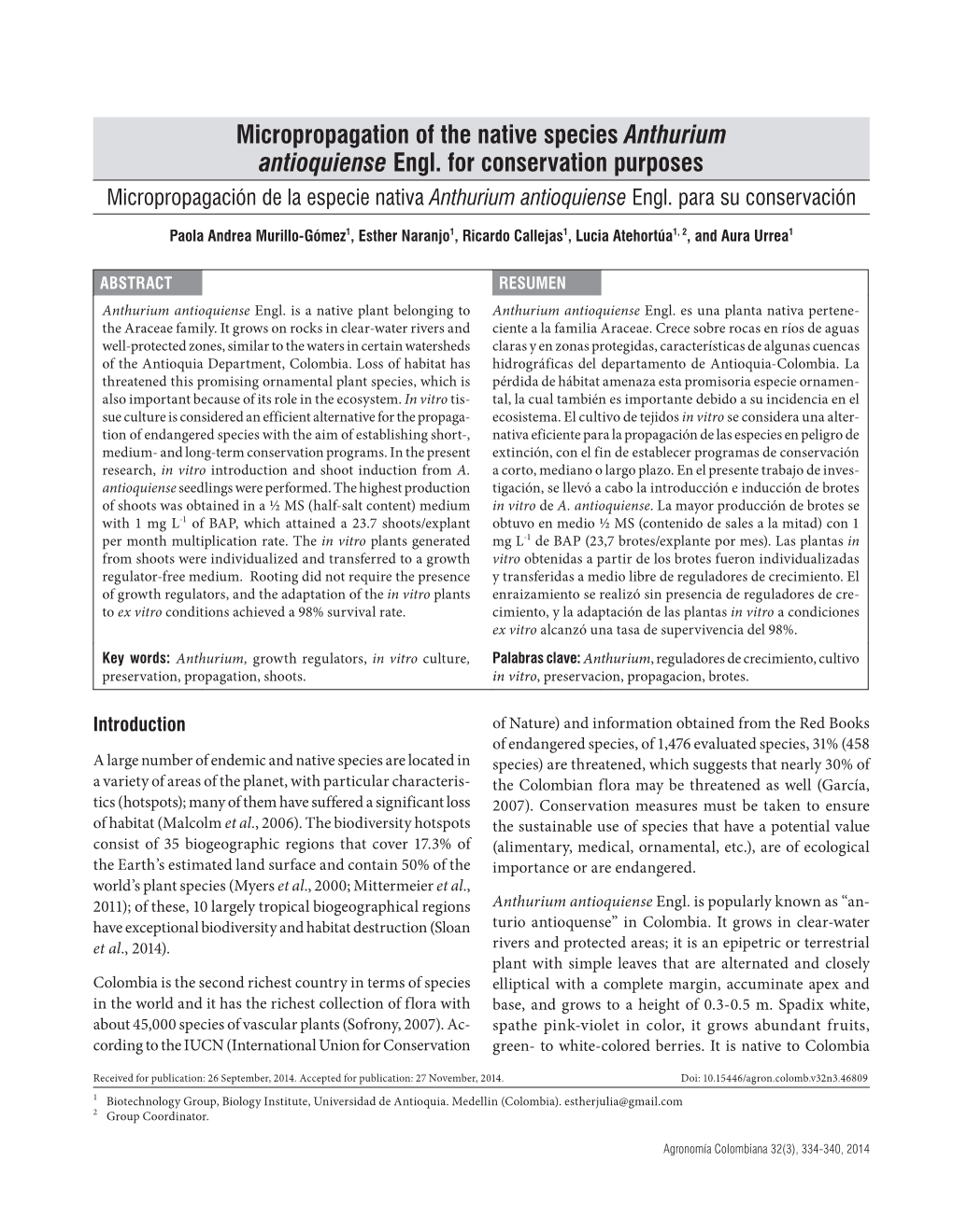 Micropropagation of the Native Species Anthurium Antioquiense Engl