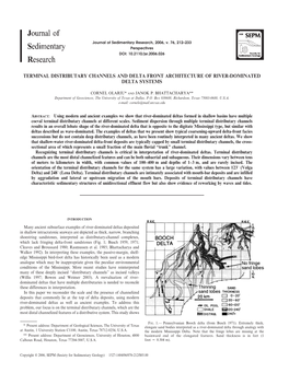 Terminal Distributary Channels and Delta Front Architecture of River-Dominated Delta Systems