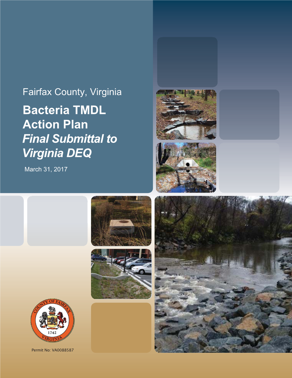 Bacteria TMDL Action Plan Final Submittal to Virginia DEQ March 31, 2017