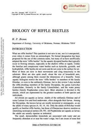 Biology of Riffle Beetles