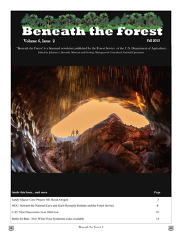 Beneath the Forest" Is a Biannual Newsletter Published by the Forest Service of the U.S
