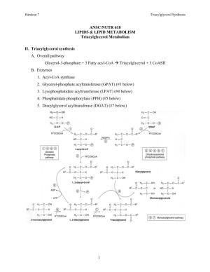 Handout 7 Triacylglycerol Synthesis