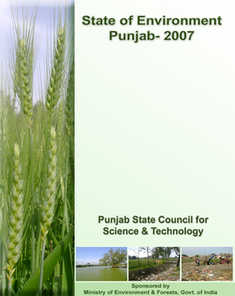 State of Environment Punjab-2007