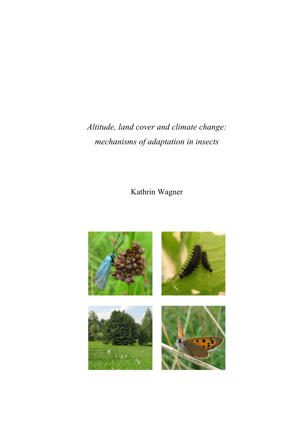 Altitude, Land Cover and Climate Change: Mechanisms of Adaptation in Insects