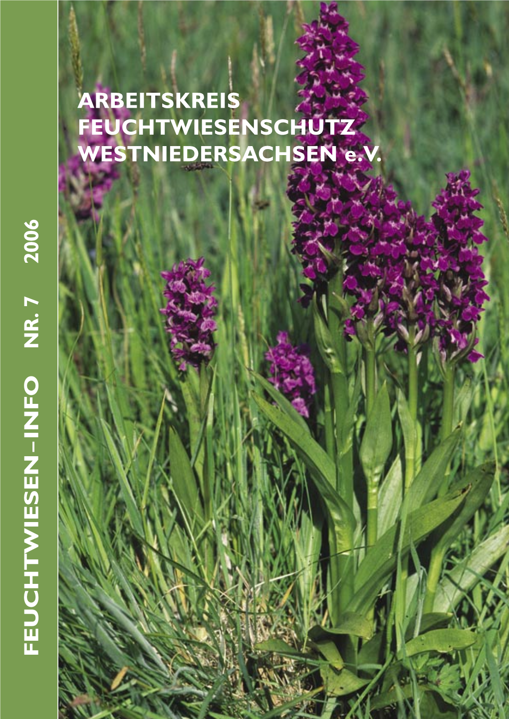 Das Breitblättrige Knabenkraut (Dactylorhiza Majalis)