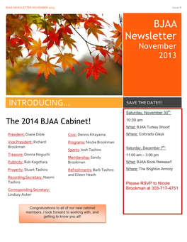 BJAA NEWSLETTER NOVEMBER 2013 Issue