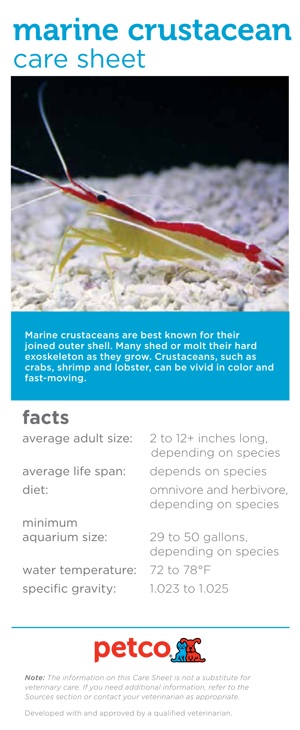 Marine Crustacean Care Sheet