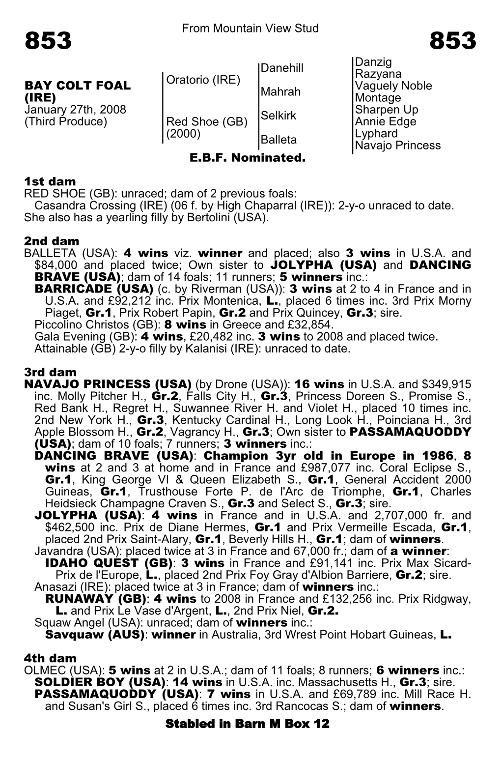 From Mountain View Stud Danehill Danzig Razyana Oratorio (IRE)