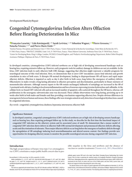 Congenital Cytomegalovirus Infection Alters Olfaction Before Hearing Deterioration in Mice