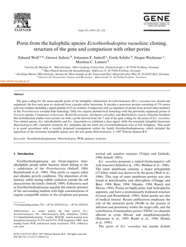 Porin from the Halophilic Species Ectothiorhodospira Vacuolata: Cloning, Structure of the Gene and Comparison with Other Porins