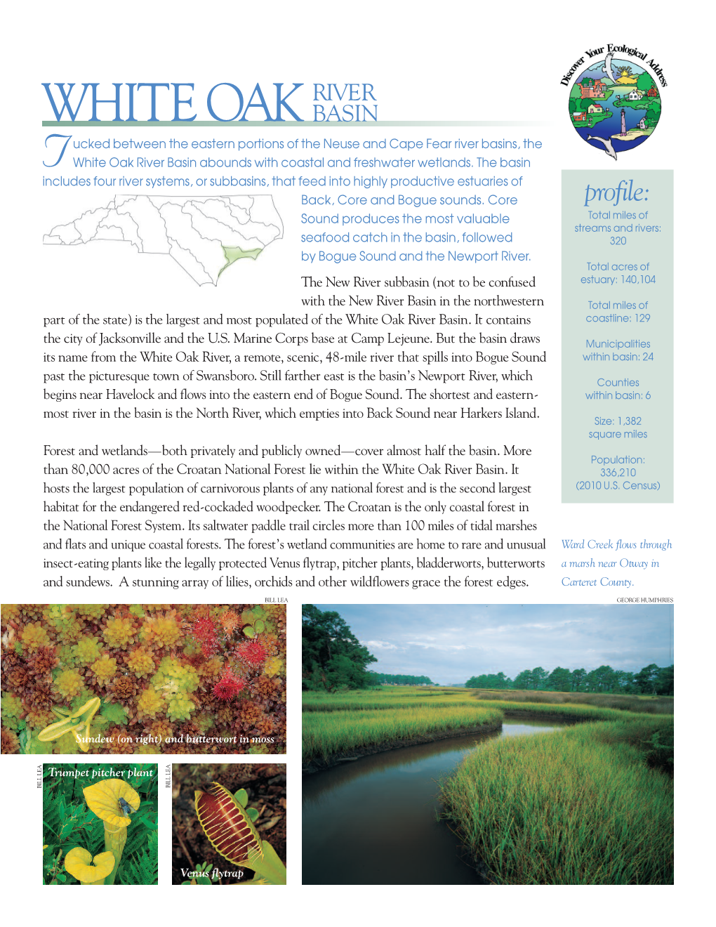 White Oak River Basin Abounds with Coastal and Freshwater Wetlands