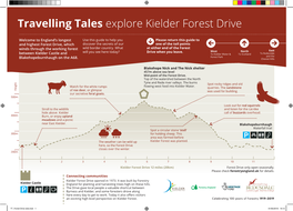 Travelling Tales Explore Kielder Forest Drive
