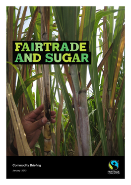 Fairtrade-And-Sugar-Briefing-Jan13