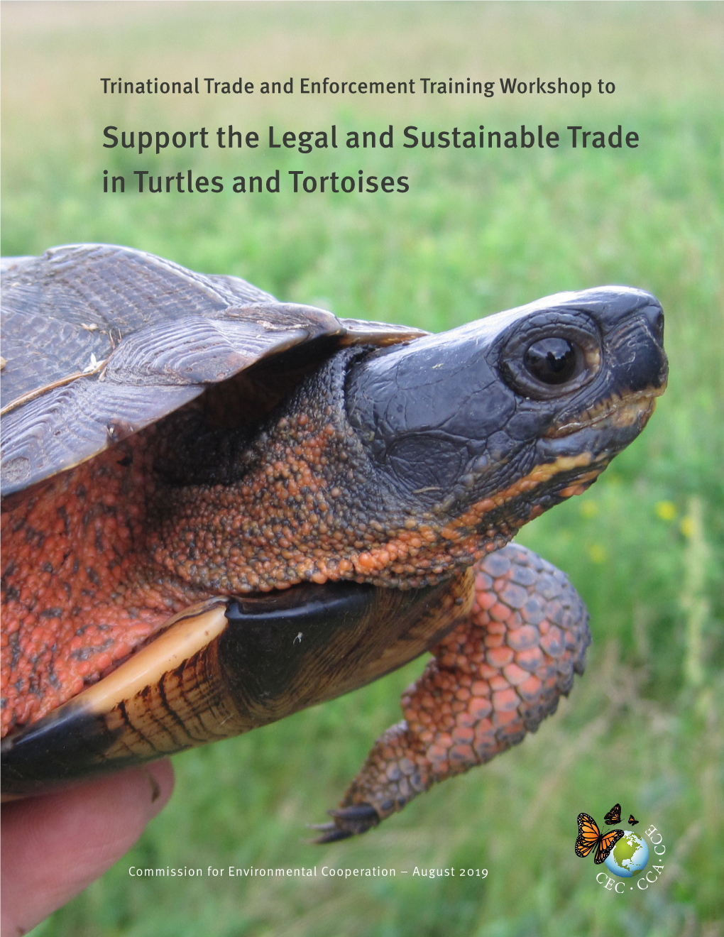 Support the Legal and Sustainable Trade in Turtles and Tortoises