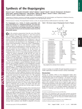 Synthesis of the Thapsigargins SPECIAL FEATURE