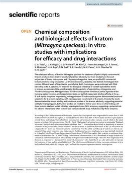 Mitragyna Speciosa): in Vitro Studies with Implications for Efcacy and Drug Interactions D