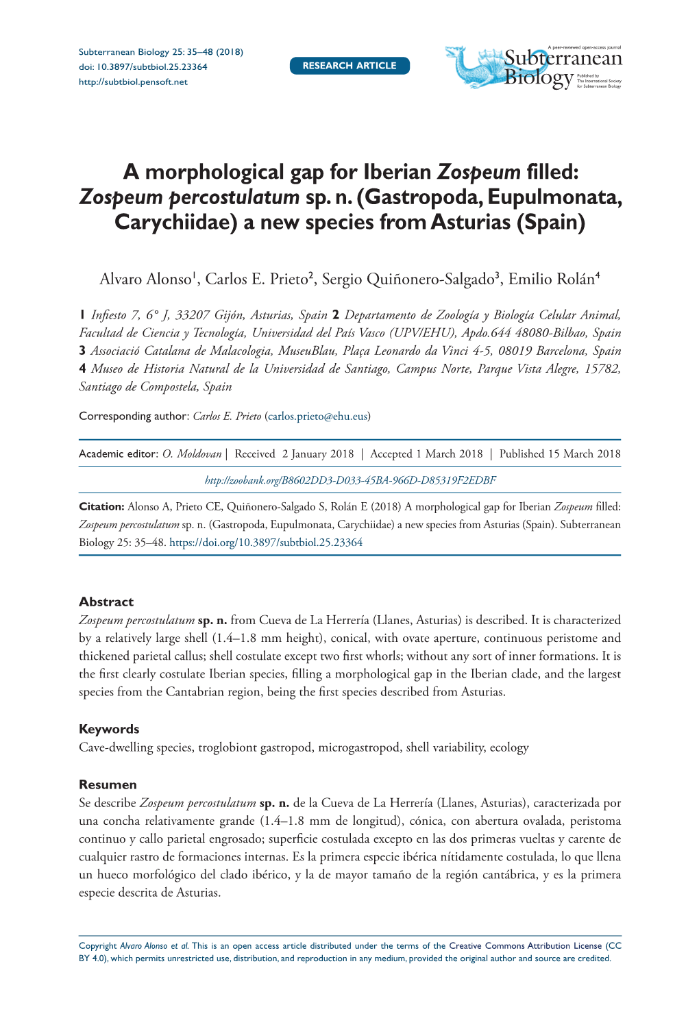 Subterranean Biology 25: 35–48 (2018)Zospeum Percostulatum Sp