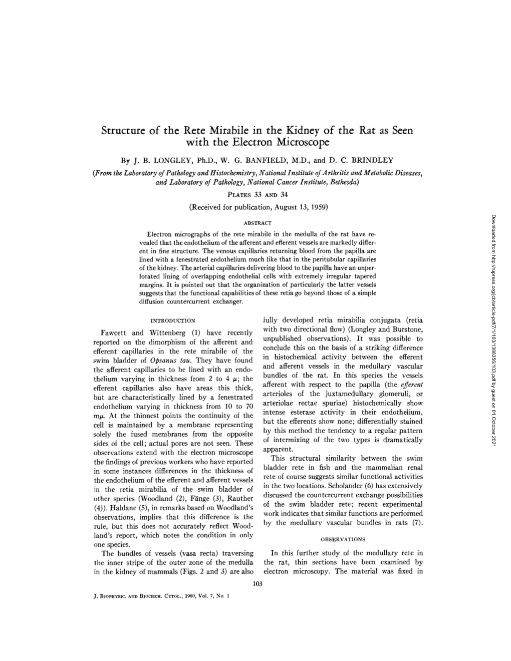 Structure of the Rete Mirabile in the Kidney of the Rat As Seen with the Electron Microscope